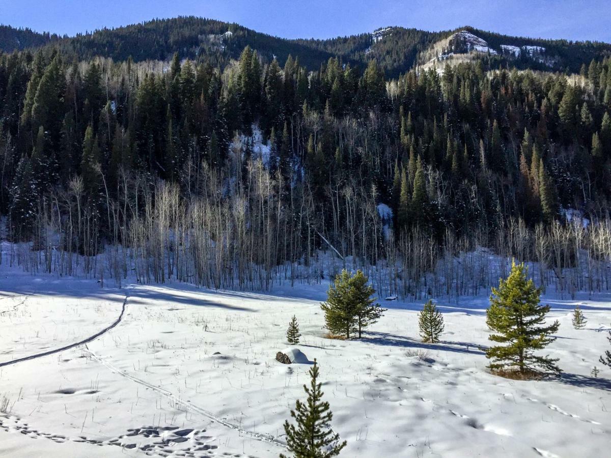 Timber Falls #809 Vail Luaran gambar
